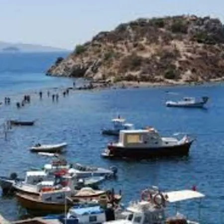 Myndos فيلة