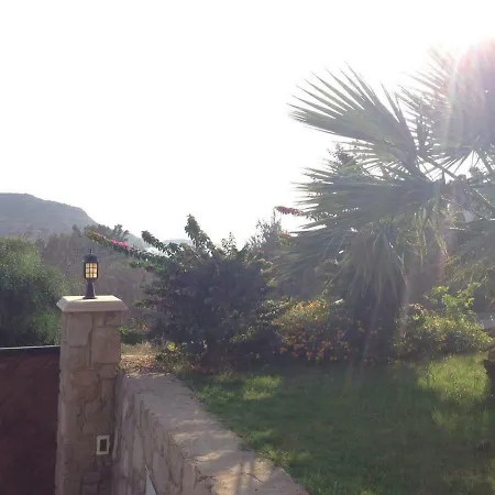 فيلة Myndos *